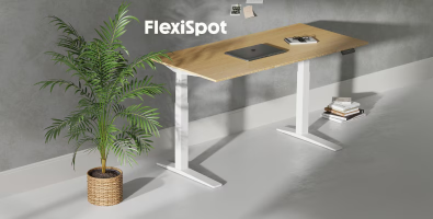 FlexiSpot E7 Pro Standing Desk Review