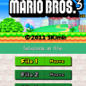 New Super Mario Bros 3 DS