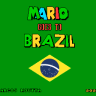 Mario Goes to Brazil