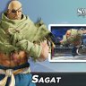 Sagat (Street Fighter)