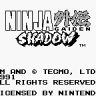 Ninja Gaiden Black Shadow