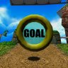 SA1 Goal Ring